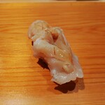 鮨 さかい - 白バイ貝（金沢産）