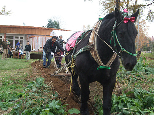 麦音  - 帯広（パン）の写真