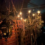 心の休憩室ガルーバ - 