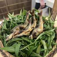 日本料理 久丹 - 