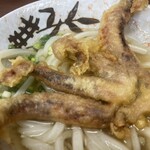 讃岐うどん いわい - うどん（税込400円）&げそ天（税込200円）