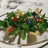 レフェルヴェソンス - 