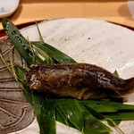 銀座 しのはら - 焼鮎の握り