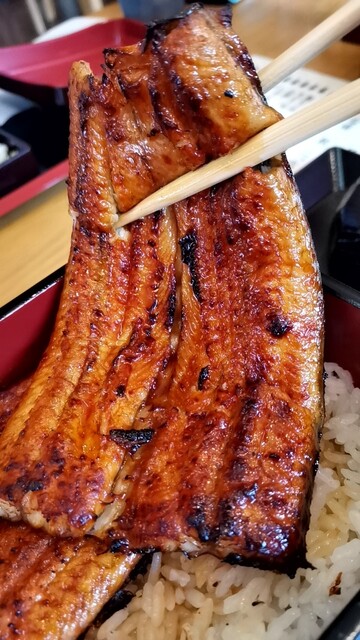 鰻の成瀬 福島桑折店 - 桑折（うなぎ）の写真