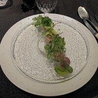 Élan - 