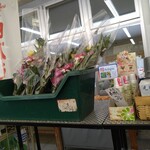 フレッシュ・クラブ - 外にお花がたくさん置いてあったのですが 暑すぎるので　庇のかなり内側にお花たちが置いてありました