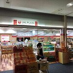 JAL PLAZA - 