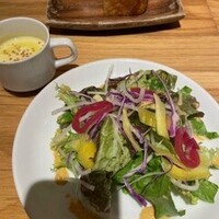 カステリーナ -  カステリーナ -