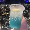 SKY GARDEN 300