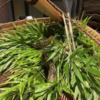 燈々庵 - 