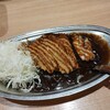 ゴーゴーカレー 金沢駅総本山
