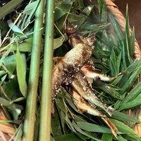 美山荘 - 