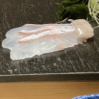 神楽坂 鮨 りん - 