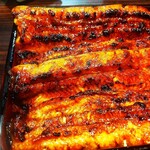 うなぎ 魚政 - うな重、ブランド鰻 特大