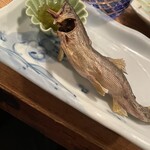 夜ノ焼魚 ちょーちょむすび - 