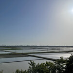 さくら坂ＶＩＶＡＣＥ - 