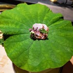 日本焼肉はせ川 別亭 - 