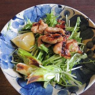 三陸産しめ鯖や鳥取地鶏など◆厳選した食材を使った逸品