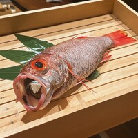 のどぐろ専門 銀座中俣 極 - 