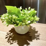 KHAO - ジャスミン　プリンに花びらを