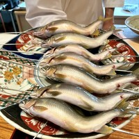 日本料理 別府 廣門 - 山国川の鮎