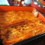 尾花 - 5500円の鰻重