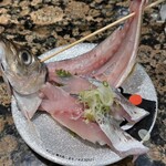 廻る寿司 めっけもん アミュプラザくまもと店 - 