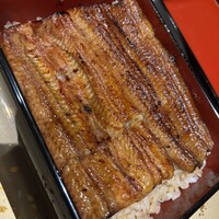うなぎ 目白ぞろ芽 - 