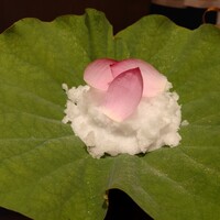 日本料理 山崎 - 富山の蓮の葉に盛り付けられた淡雪の中には、、、。