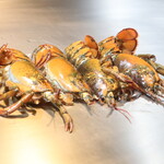 鉄板焼 石狩 - オマール海老焼いてます 2024.8月