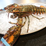 鉄板焼 石狩 - カナダ産オマール海老(生きてます) 2024.8月