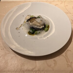 コートロティ - 