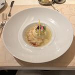 コートロティ - 