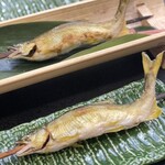 藤岡温泉ホテル  - 