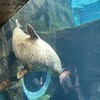 旭山動物園東門レストラン カムイチカプ