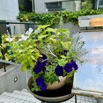 オオハラ エ シーアイイー - 入口のお花
      2024年8月9日