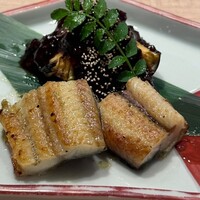 寿司 はせ川 心斎橋本店 - 