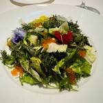 オオハラ エ シーアイイー - 貝類のマリネレモンドレッシング サラダ仕立て。赤貝、ホッキ貝、ミル貝とアンチョビソース。オレンジ色のつぶつぶはマスの卵。
      2024年8月9日