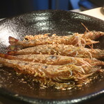 フィエルテ - 活きた状態での車海老のプレゼンテーション