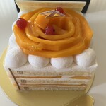 トシ・ヨロイヅカ 東京 - 