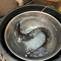 入谷鬼子母神門前のだや - かねみつときょうすい（だったと思う）