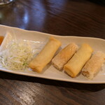 ロスオーチャー - （2024/7月）揚げ春巻き二種