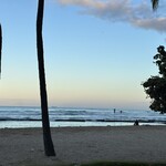 Cheeseburger In Paradise - 