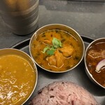 Curry Spice Gelateria KALPASI - レモンチキン