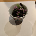 おいっちゃ - 能登　岩もずく