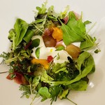 ラ セッテ 広瀬北町本店 - 