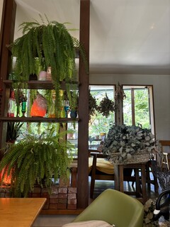 ナチュラル　カフェイーナ - 内観