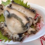 はまなす海洋館 - 