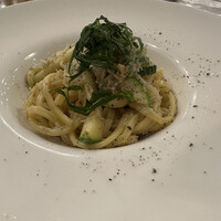 ブラチェリア バーヴァ - 