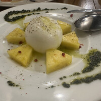 ブラチェリア バーヴァ - 